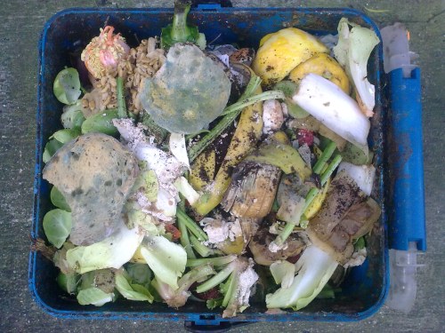 Food Waste