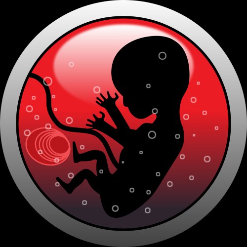 openclipart-vectors-embryo