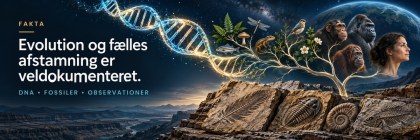 Faktabanneret efter afsnittet om biologisk evolution.yndelse.