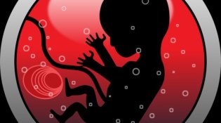 openclipart-vectors-embryo