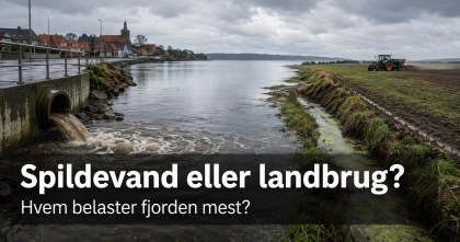 Spildevand eller landbrug