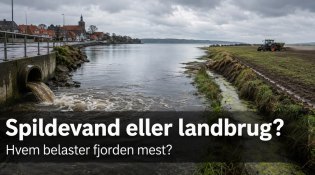 Spildevand eller landbrug